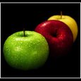 مقاله آئین کار نگهداری سیب در سردخانه سیب یکی از قدیمی‏ترین میوه‏هایی است که بشر از دیر باز شناخته و مورد استفاده قرار داده است بر اساس اطلاعات موجود به […]